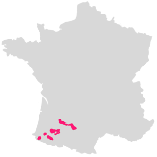 Sud Ouest